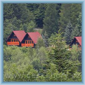 Bungalowy Sepetn� ***
