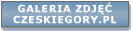 Galeria zdj��