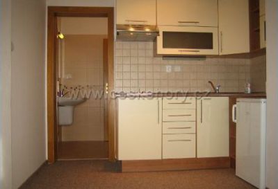 Chata - apartament Cista v Krkonosich, Cerny Dul