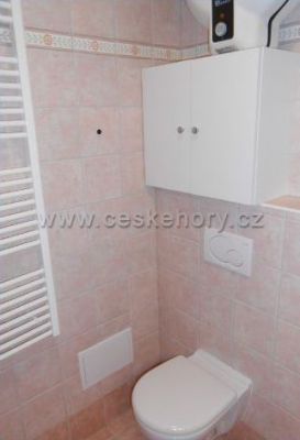 Apartament Desztne w Górach Orlickich