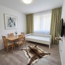 Apartament Mlýn 208
