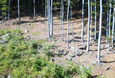 Apartament V údolí