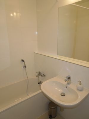 Apartament w Zlate Olesznici