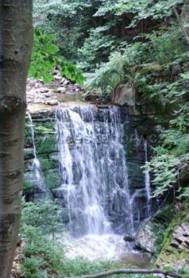 Apartament U Karkonosza