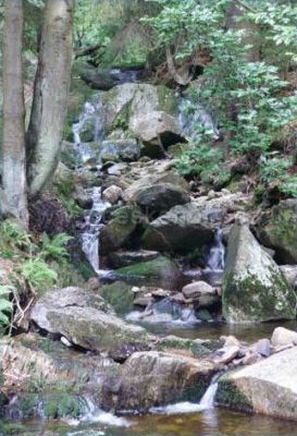 Apartament U Karkonosza