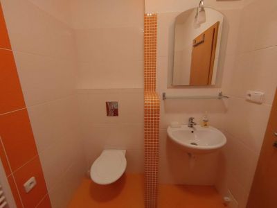 Górskie apartamenty Górna Lipowa