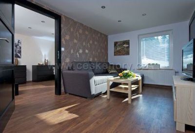 Apartamenty 294