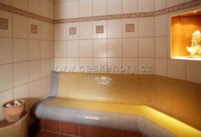Hotel Biały Horzec ***