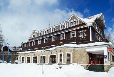 Hotel Biały Horzec ***