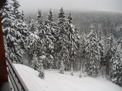 Apartament Cihlářka 303