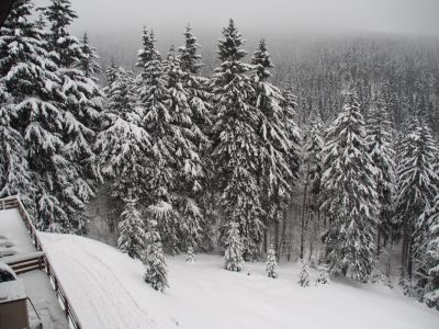 Apartament Cihlářka 303