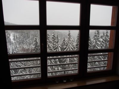 Apartament Cihlářka 303