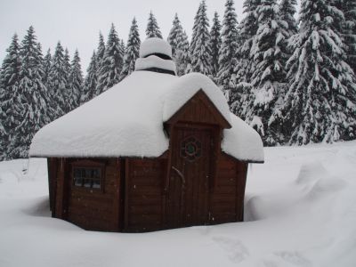 Apartament Cihlářka 303