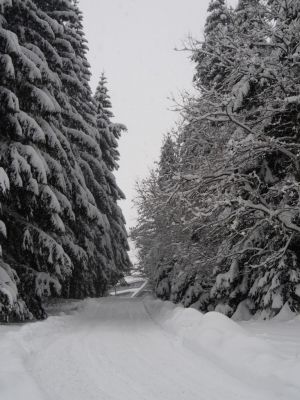 Apartament Cihlářka 303