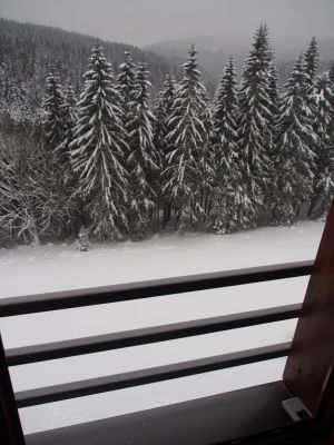 Apartament Cihlářka 303