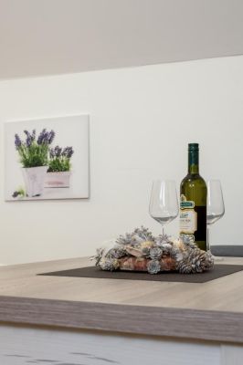 Apartamenty Divoký Anděl