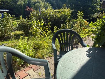 Apartamenty - U Dvořáků