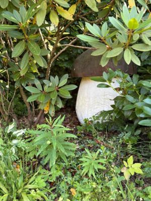 Apartamenty - U Dvořáků