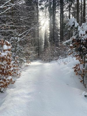 Apartamenty - U Dvořáků