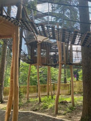 Apartamenty - U Dvořáků