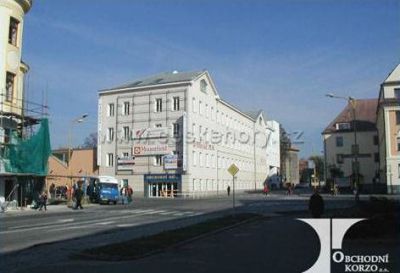 Hostel Korzo