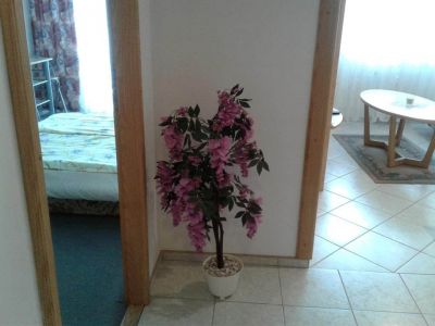 Apartament Jezkova