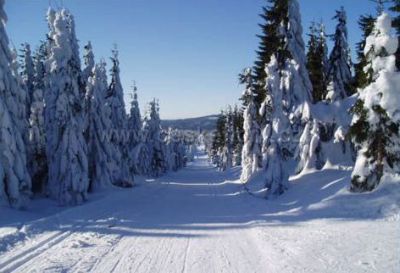 Pensjonat Jindřichovka