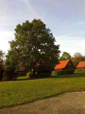 Wczasowe urządzenie Izerki