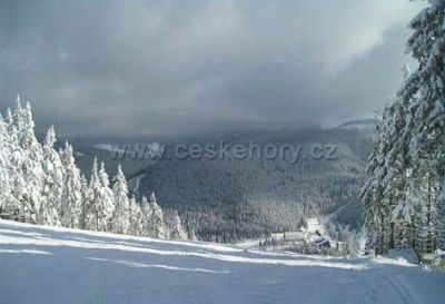 K4 Conti - Apartament luksusowy