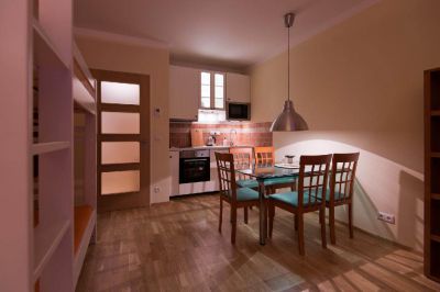 Apartament Medvědín 408 U sjezdovky