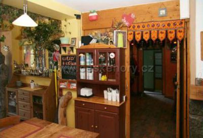 Pensjonat Modřín Wellness