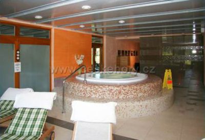 Pensjonat Modřín Wellness