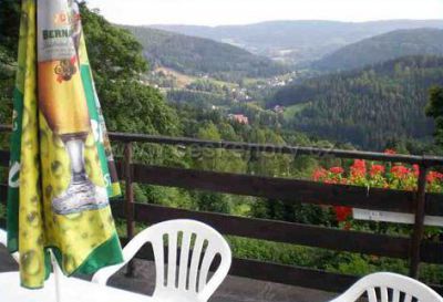 Pensjonat Alpin