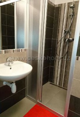 Pensjonat Karkonosze