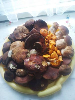 Pensjonat Kučera