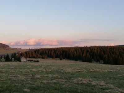 Pešákovna