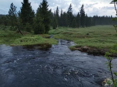Pešákovna
