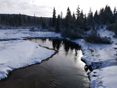 Pešákovna