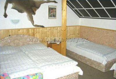 Apartamenty i Willa Plischke