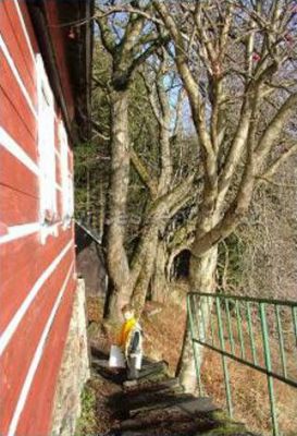 Chałupa cembrowana Přadlenka