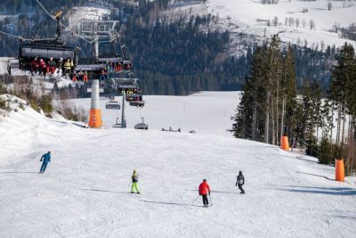 Domek cembrowany z basenem i sauną