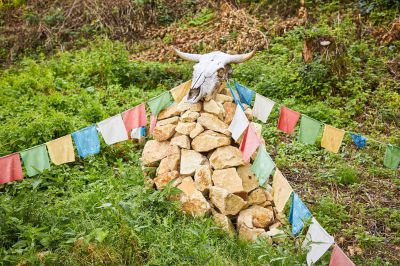 Dom drewniany Samsara