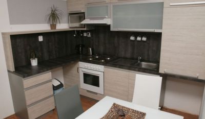 Pensjonat Apartament SunGarden Liberec