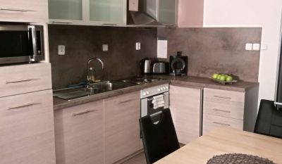 Pensjonat Apartament SunGarden Liberec