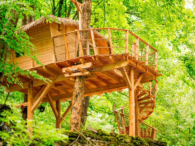 Treehouse pod Jeszczedem