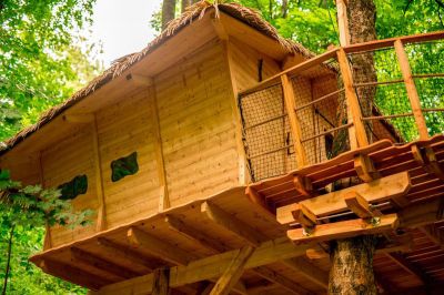 Treehouse pod Jeszczedem