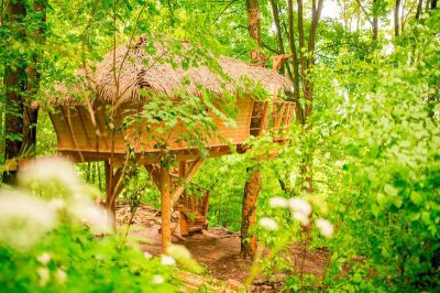 Treehouse pod Jeszczedem