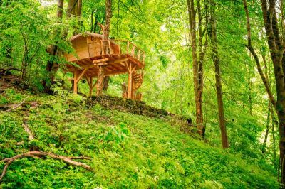 Treehouse pod Jeszczedem