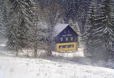 Pension Vega (hotel Jaki)