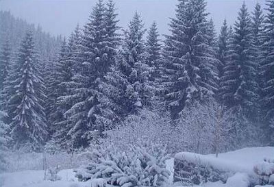 Pension Vega (hotel Jaki)